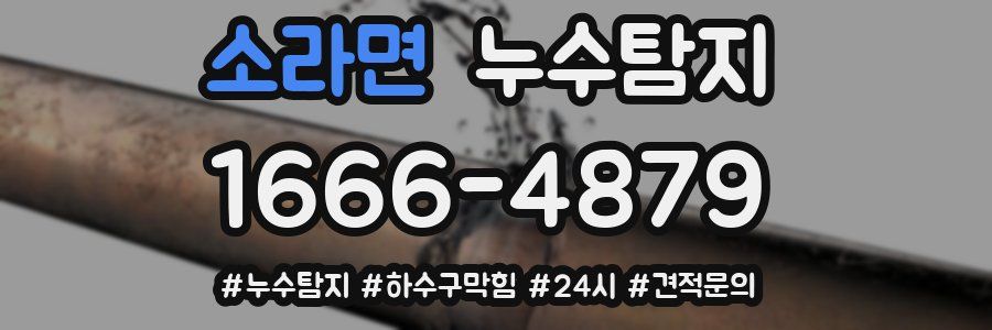 누수닥터 누수탐지