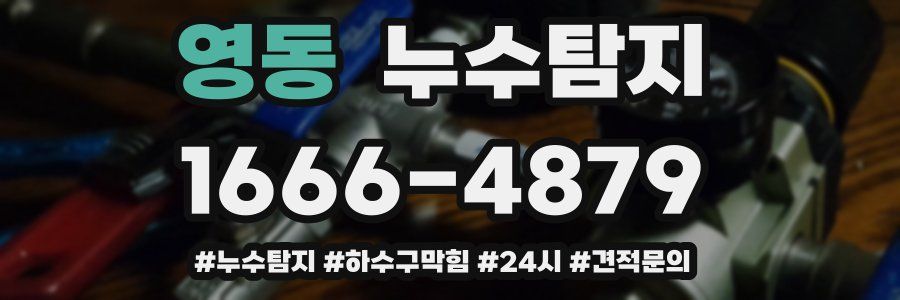 누수닥터 누수탐지