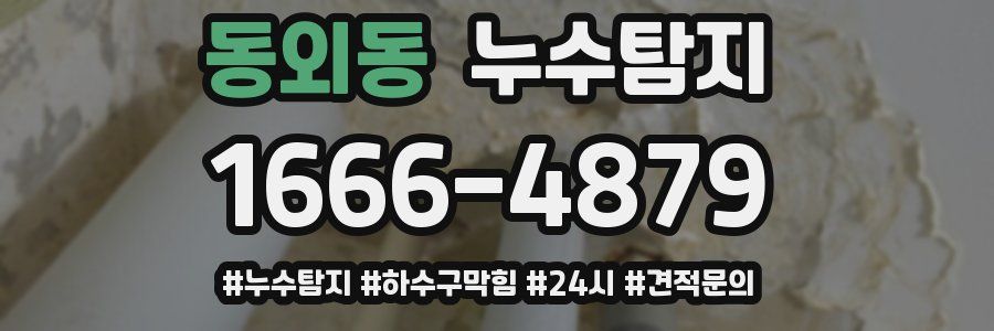 누수닥터 누수탐지