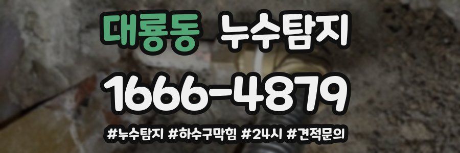 누수닥터 누수탐지