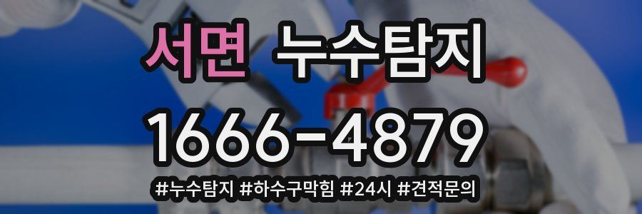 누수닥터 누수탐지