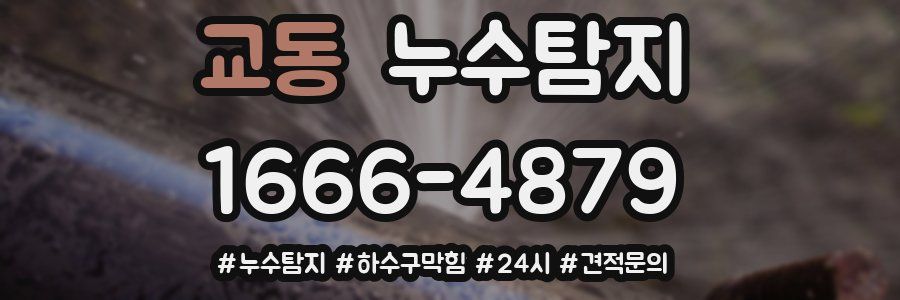 누수닥터 누수탐지