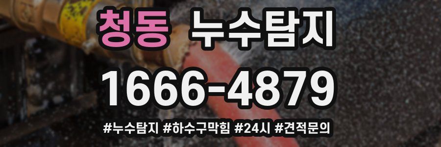 누수닥터 누수탐지