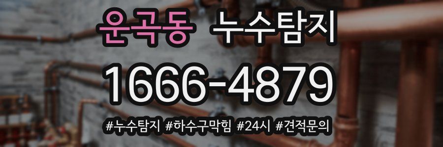 누수닥터 누수탐지