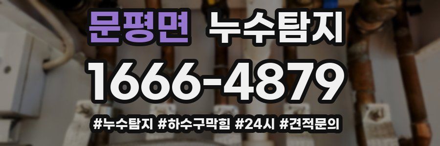 누수닥터 누수탐지