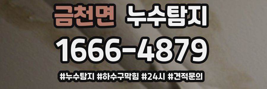 누수닥터 누수탐지