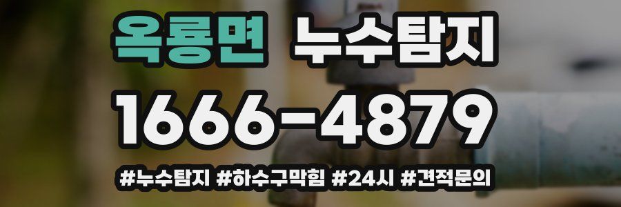 누수닥터 누수탐지