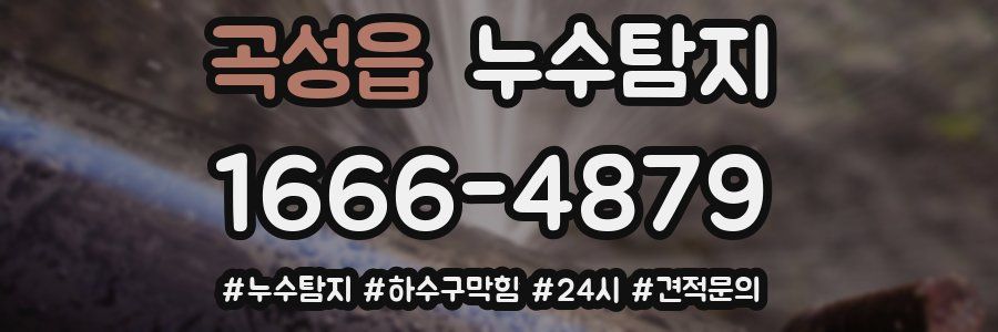 누수닥터 누수탐지