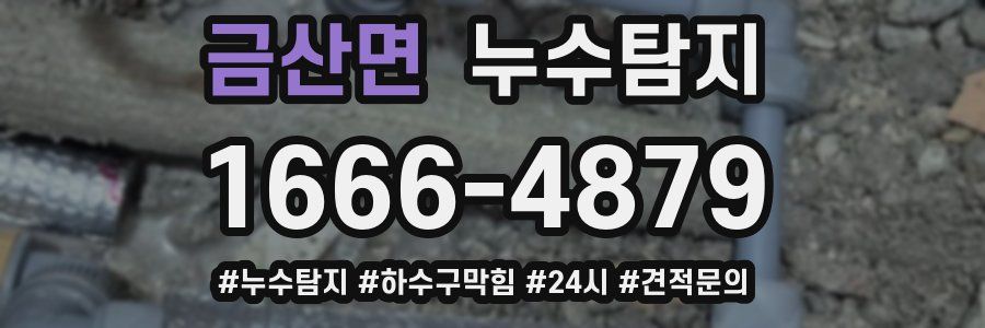 누수닥터 누수탐지