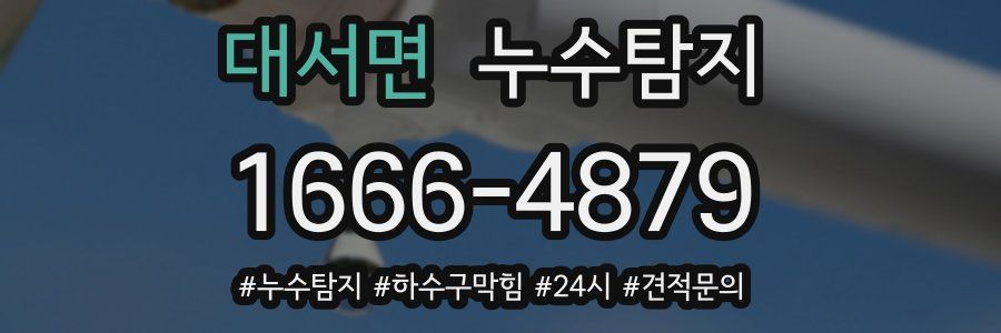 누수닥터 누수탐지