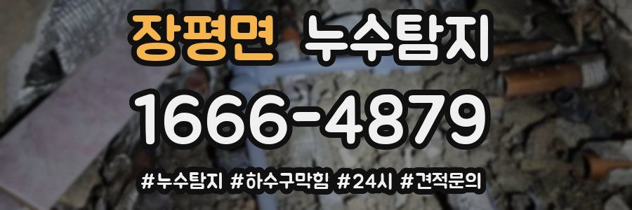 누수닥터 누수탐지