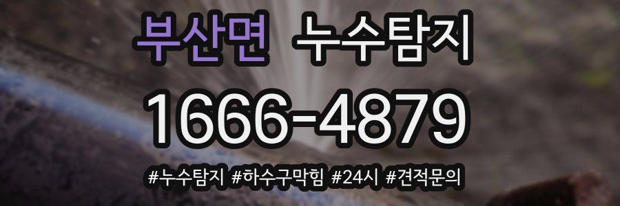 누수닥터 누수탐지