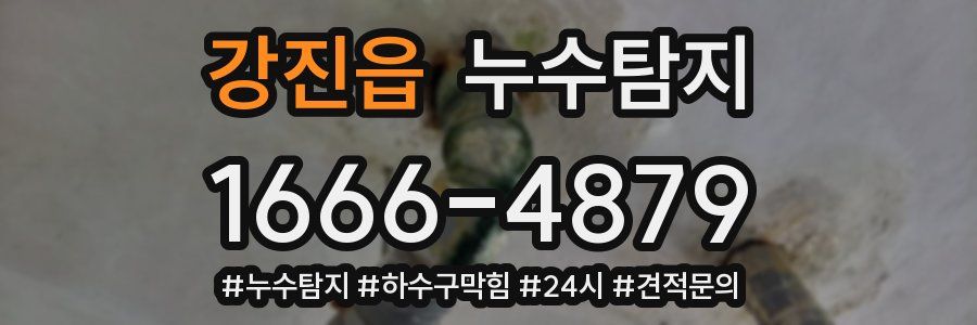 누수닥터 누수탐지