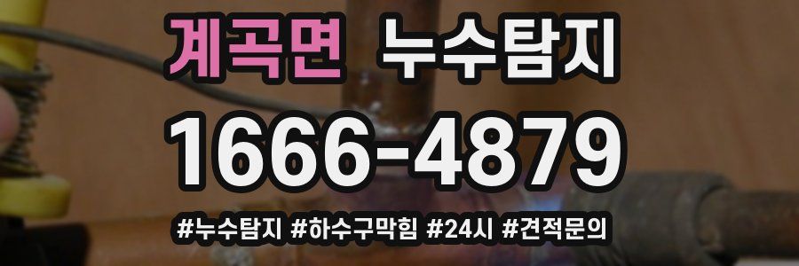 누수닥터 누수탐지