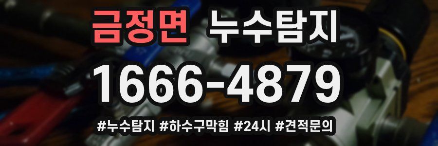 누수닥터 누수탐지