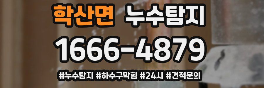 누수닥터 누수탐지