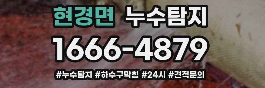 누수닥터 누수탐지