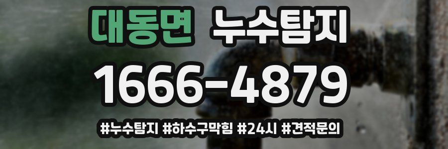 누수닥터 누수탐지