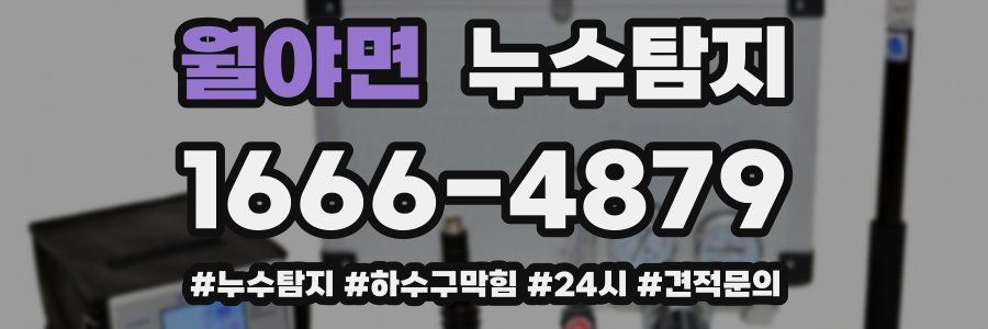 누수닥터 누수탐지