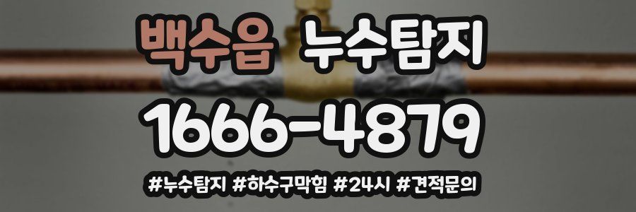 누수닥터 누수탐지