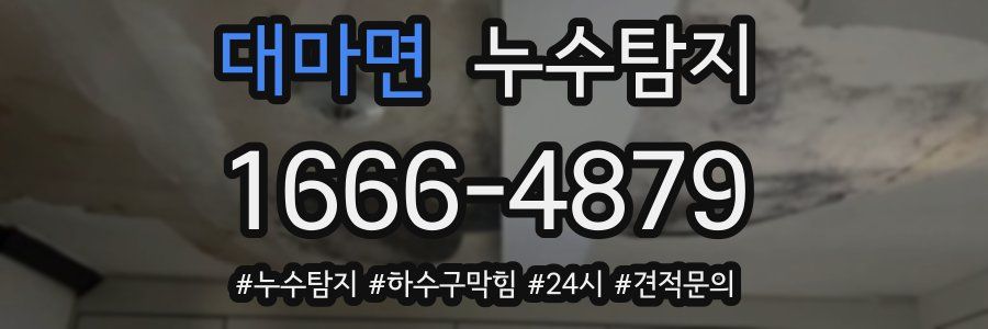 누수닥터 누수탐지