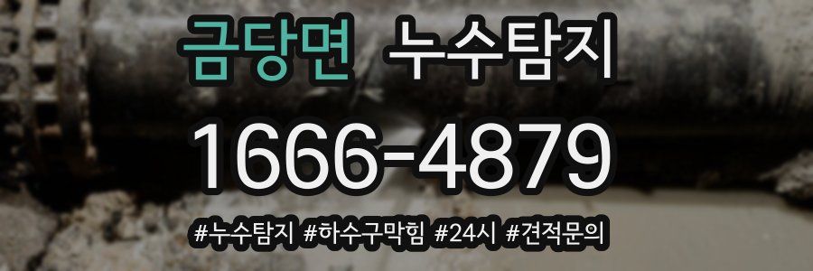 누수닥터 누수탐지