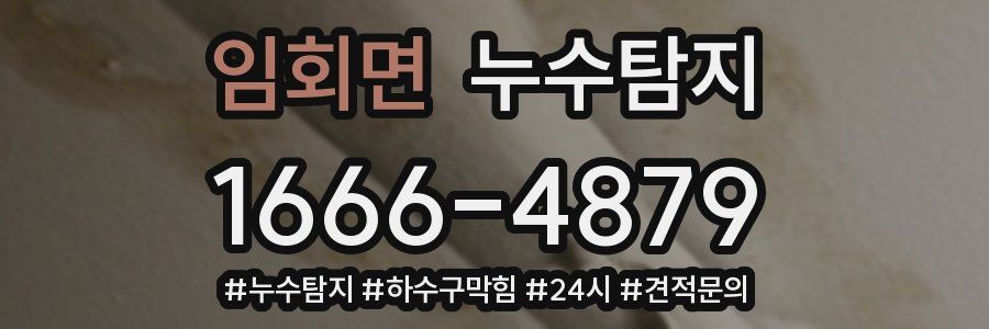 누수닥터 누수탐지