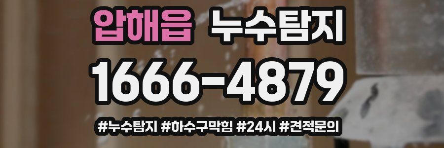 누수닥터 누수탐지