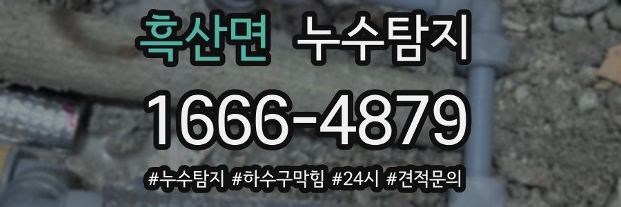 누수닥터 누수탐지