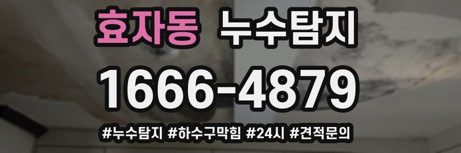 누수닥터 누수탐지