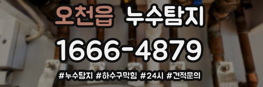 누수닥터 누수탐지