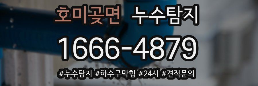누수닥터 누수탐지