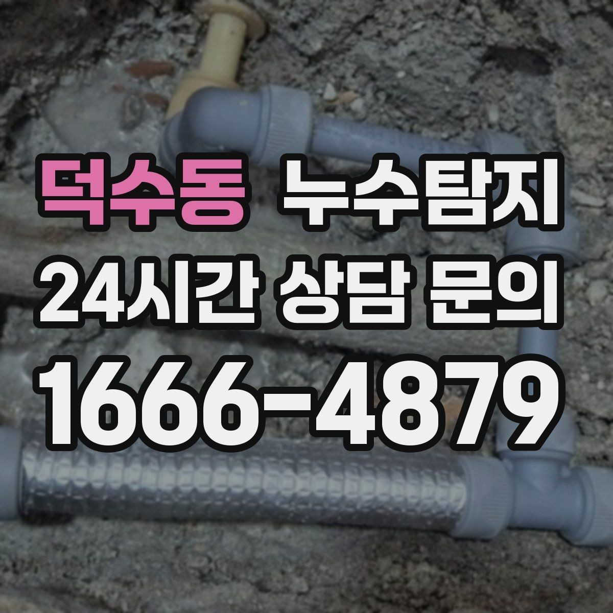 덕수동 누수탐지 주말 공휴일 진단 운영