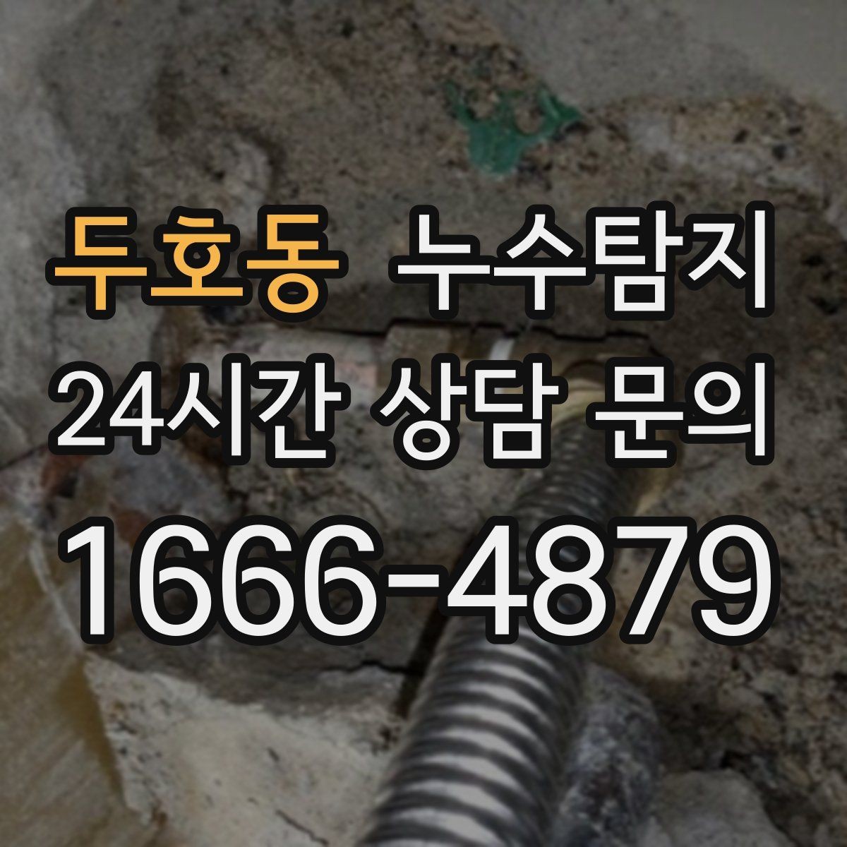 두호동 누수탐지 세탁실 배수 문제 진단 경험