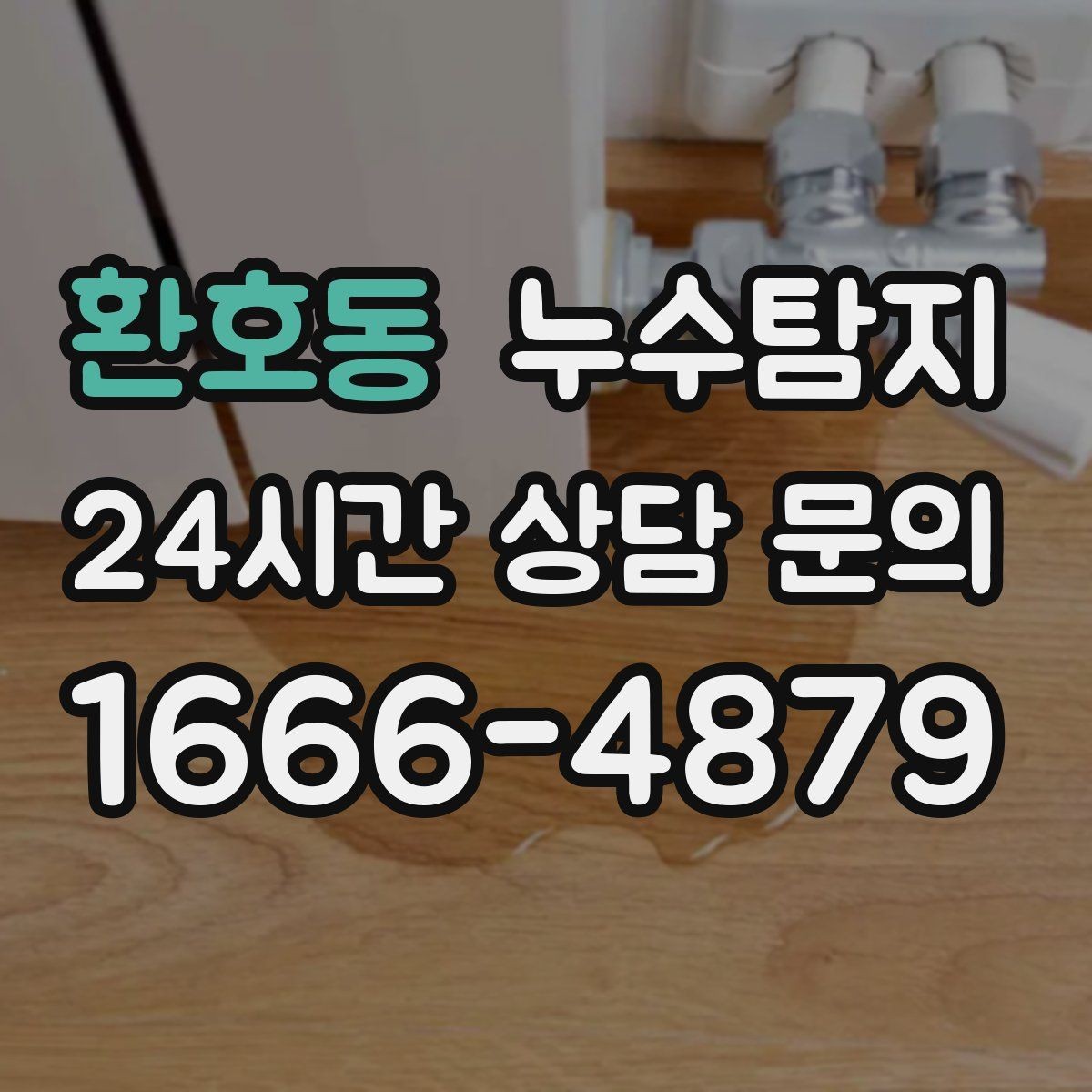 환호동 누수탐지 사진과 영상 데이터로 믿는 진단