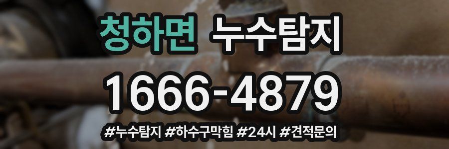 누수닥터 누수탐지