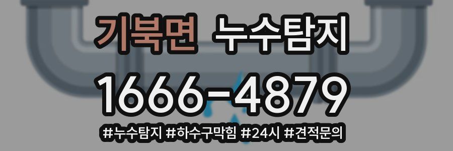누수닥터 누수탐지