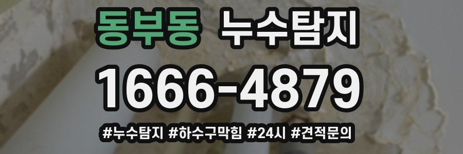 누수닥터 누수탐지