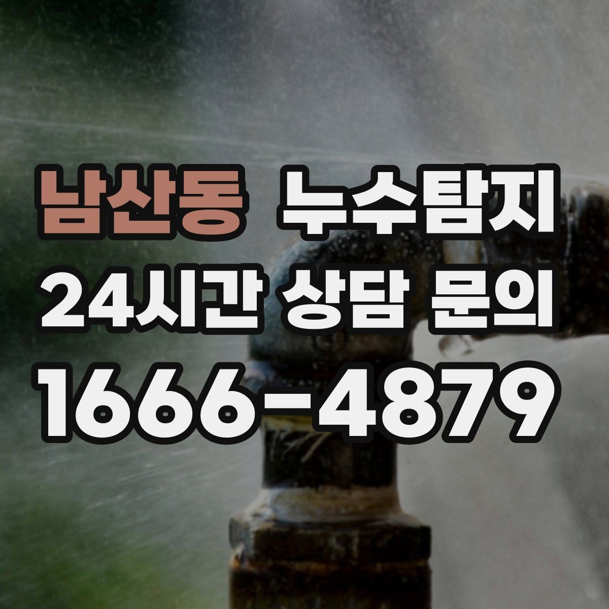 남산동 누수탐지 사진과 영상 데이터로 믿는 진단
