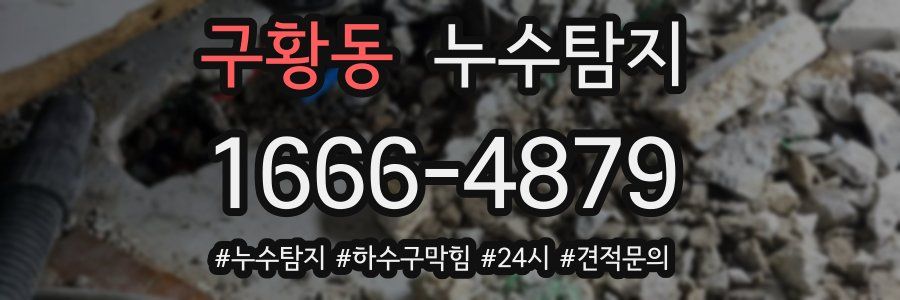 누수닥터 누수탐지