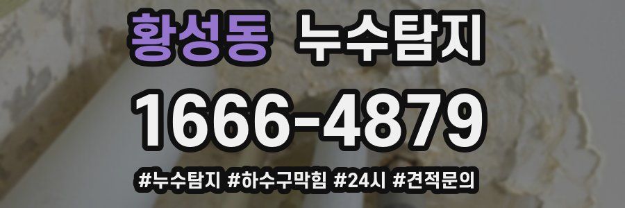 누수닥터 누수탐지