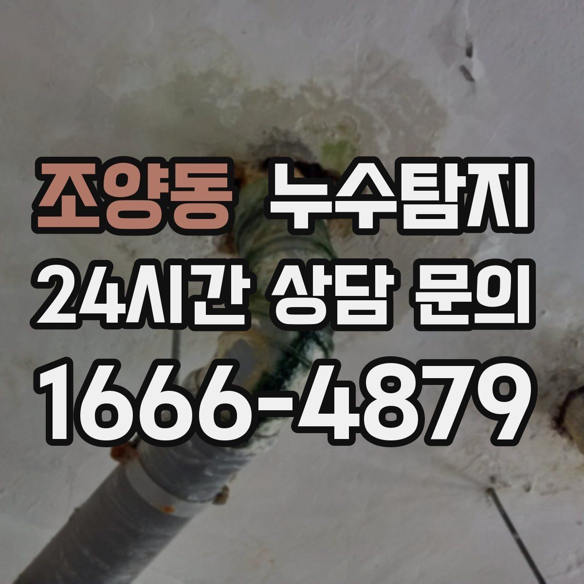조양동 누수탐지 문제 해결을 위한 비용이 궁금하신가요