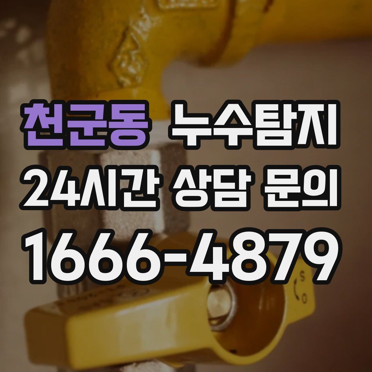천군동 누수탐지 단독주택 외부 관로 점검 이야기