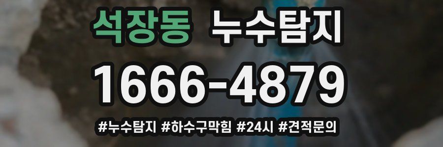 누수닥터 누수탐지