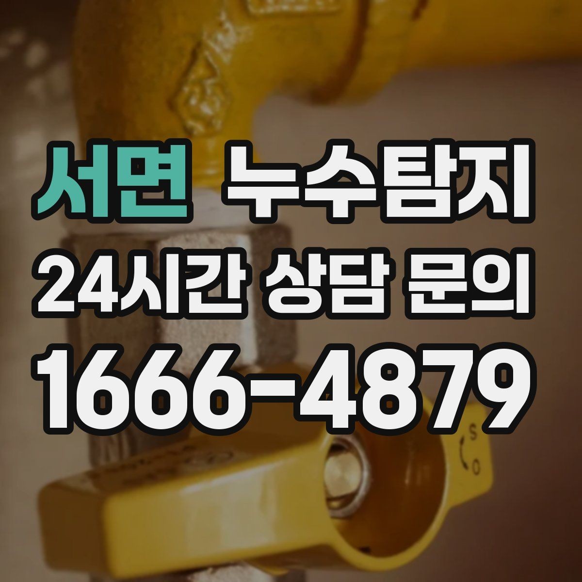 서면 누수탐지 천장 얼룩 원인 추적