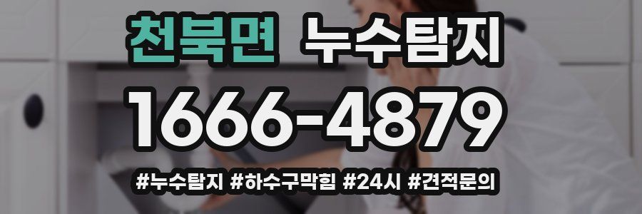 누수닥터 누수탐지