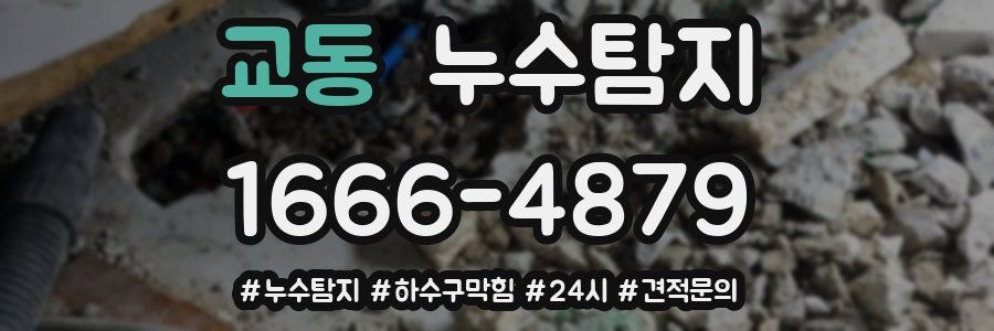 누수닥터 누수탐지