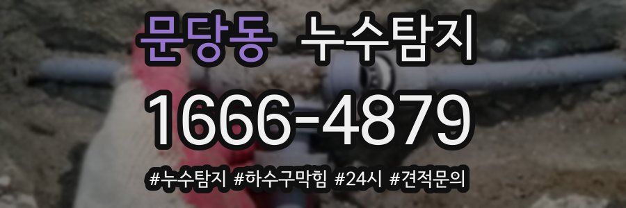 누수닥터 누수탐지
