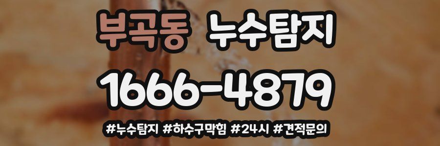 누수닥터 누수탐지