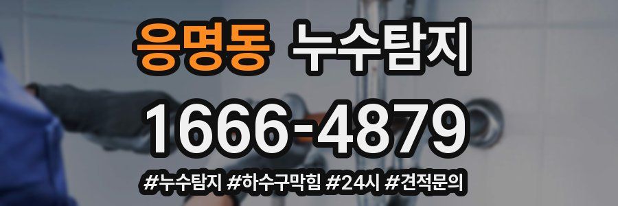 누수닥터 누수탐지